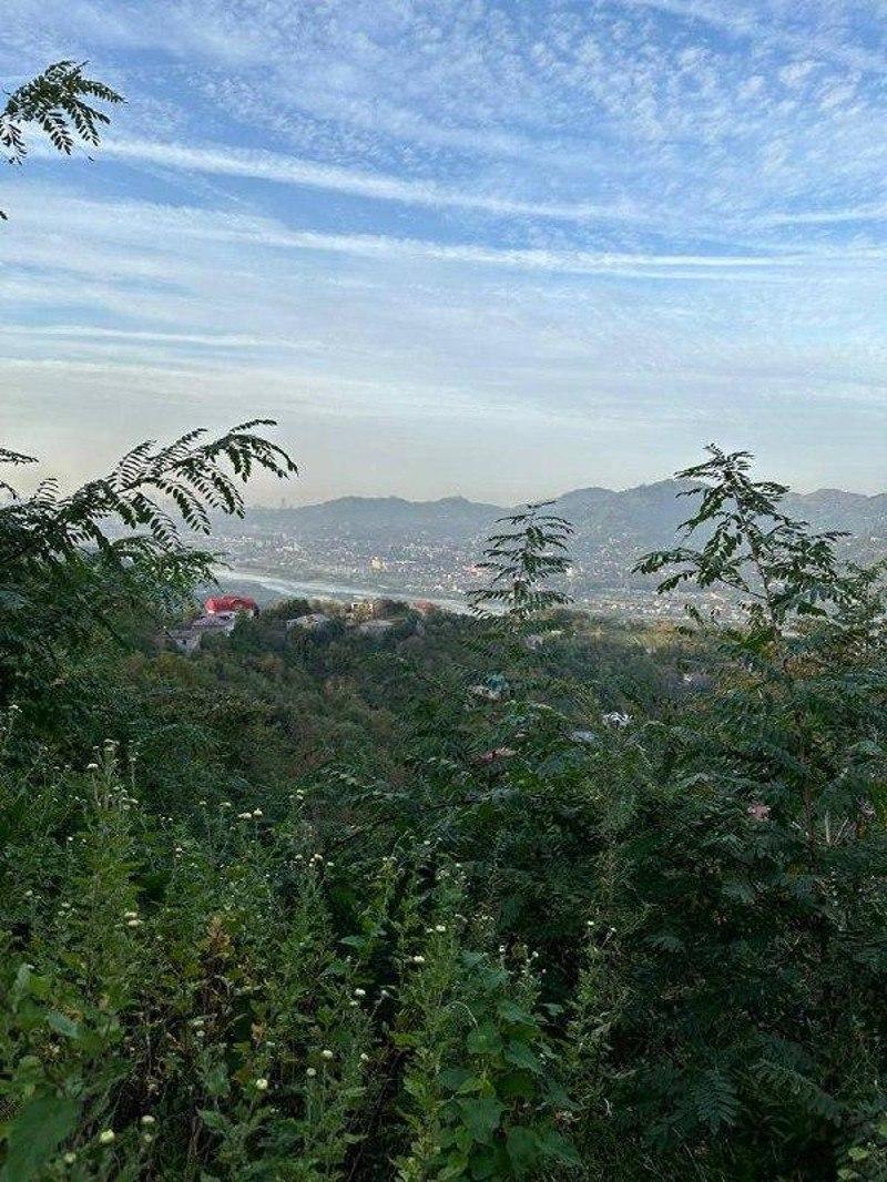 Land For Sale In Batumi, 1,280 M² For $83,200 view 4