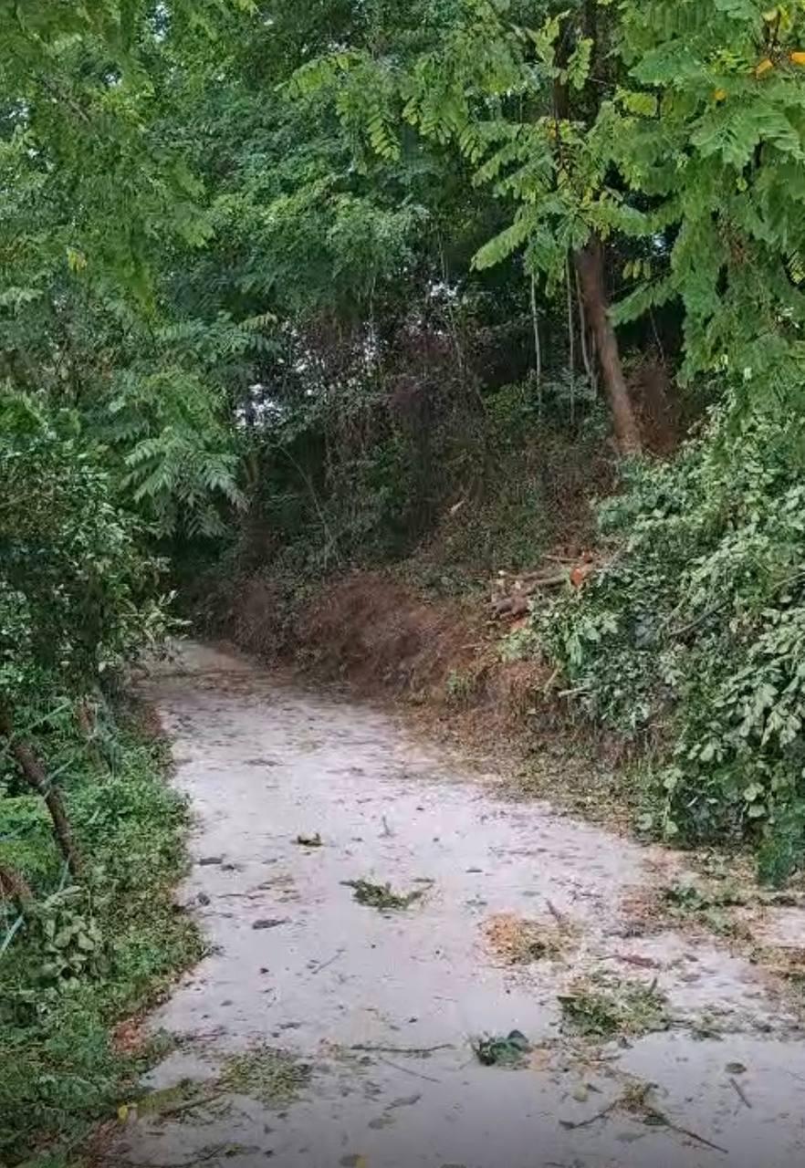 Land For Sale In Batumi, 800 M² For $120,000 view 1