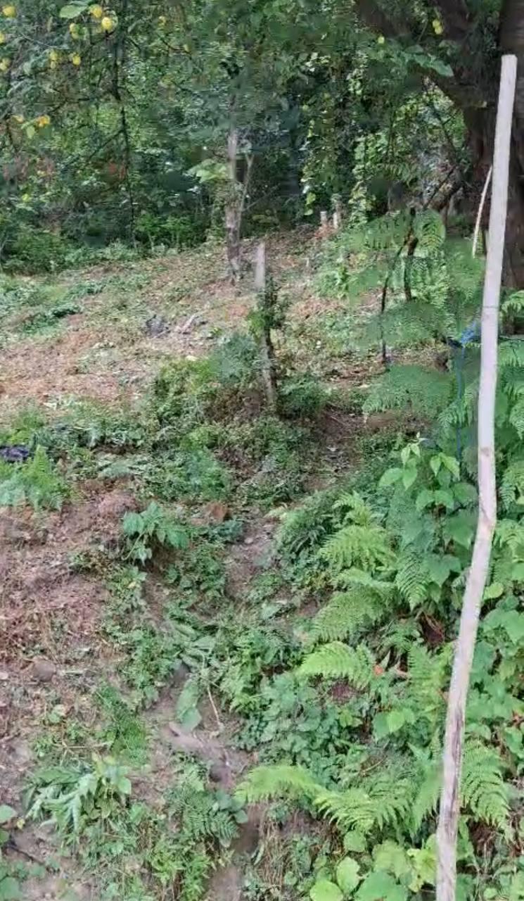 Land For Sale In Batumi, 800 M² For $120,000 view 4