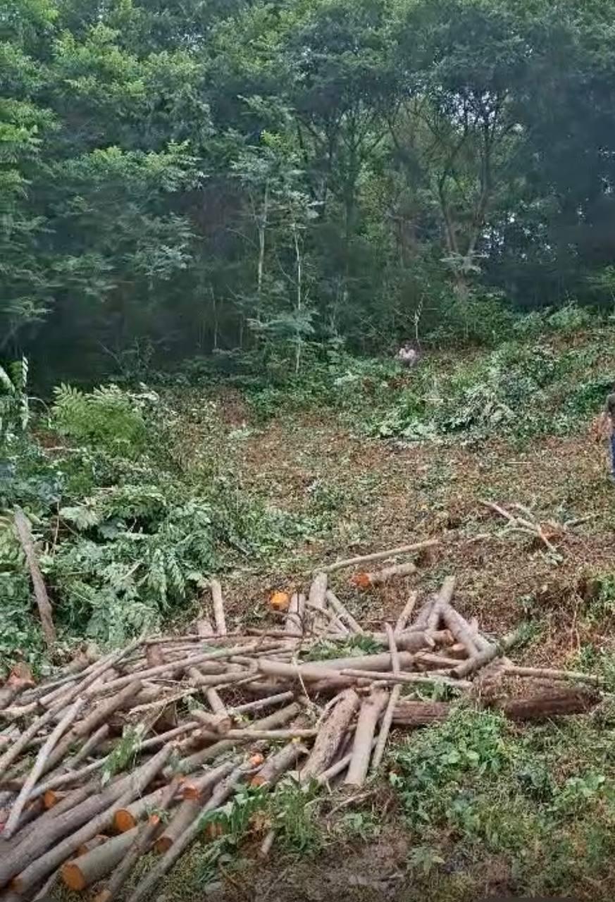 Land For Sale In Batumi, 800 M² For $120,000 view 3
