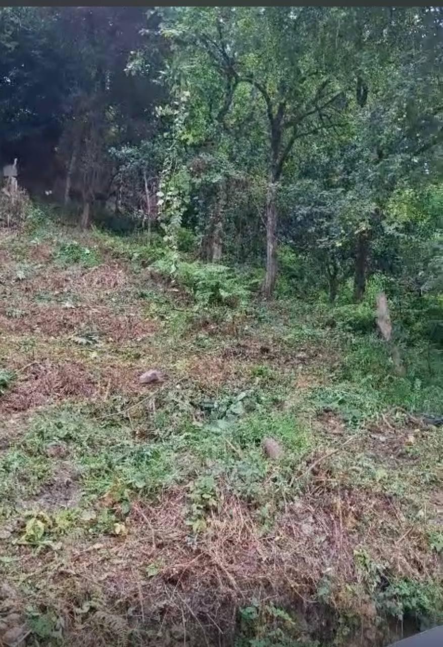 Land For Sale In Batumi, 800 M² For $120,000 view 2