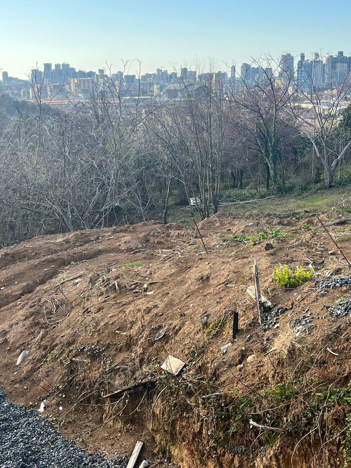 Land For Sale In Batumi, 1,480 M² For $408,800 view 3