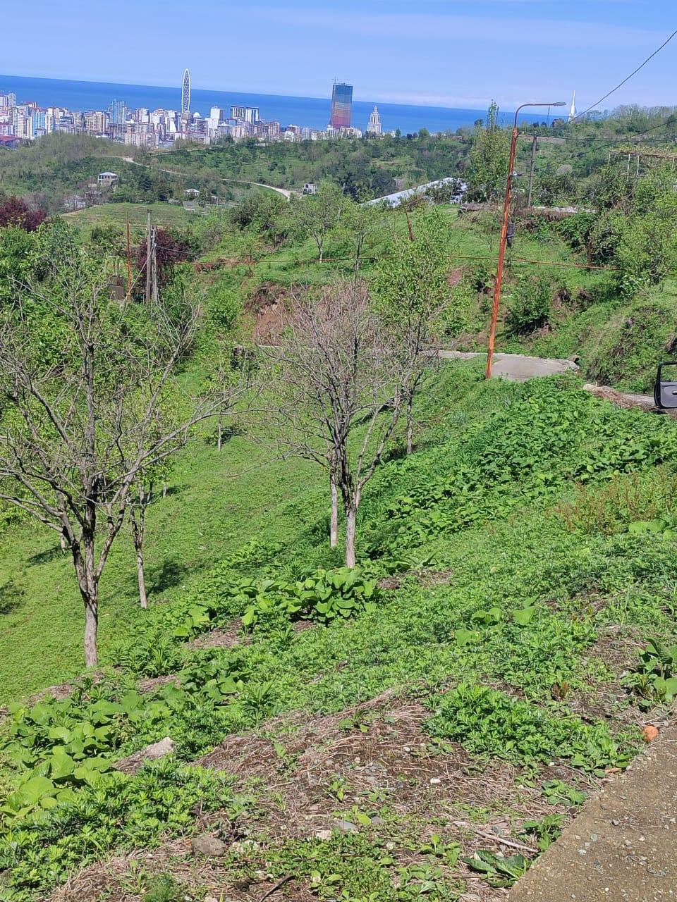 Land For Sale In Batumi, 2,585 M² For $207,000 view 6