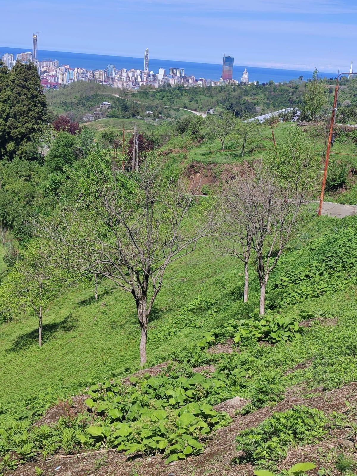 Land For Sale In Batumi, 2,585 M² For $207,000 view 1