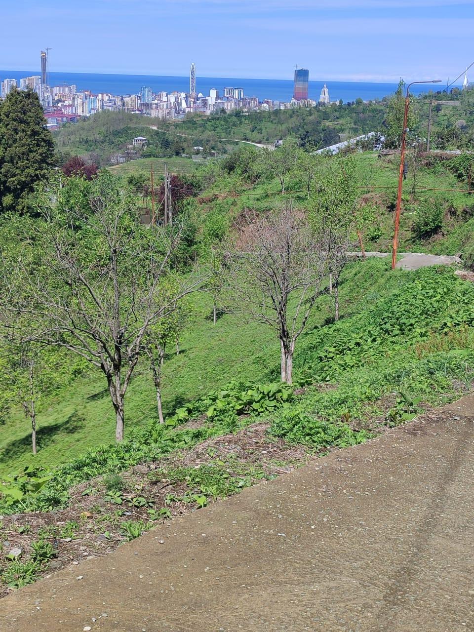 Land For Sale In Batumi, 2,585 M² For $207,000 view 8