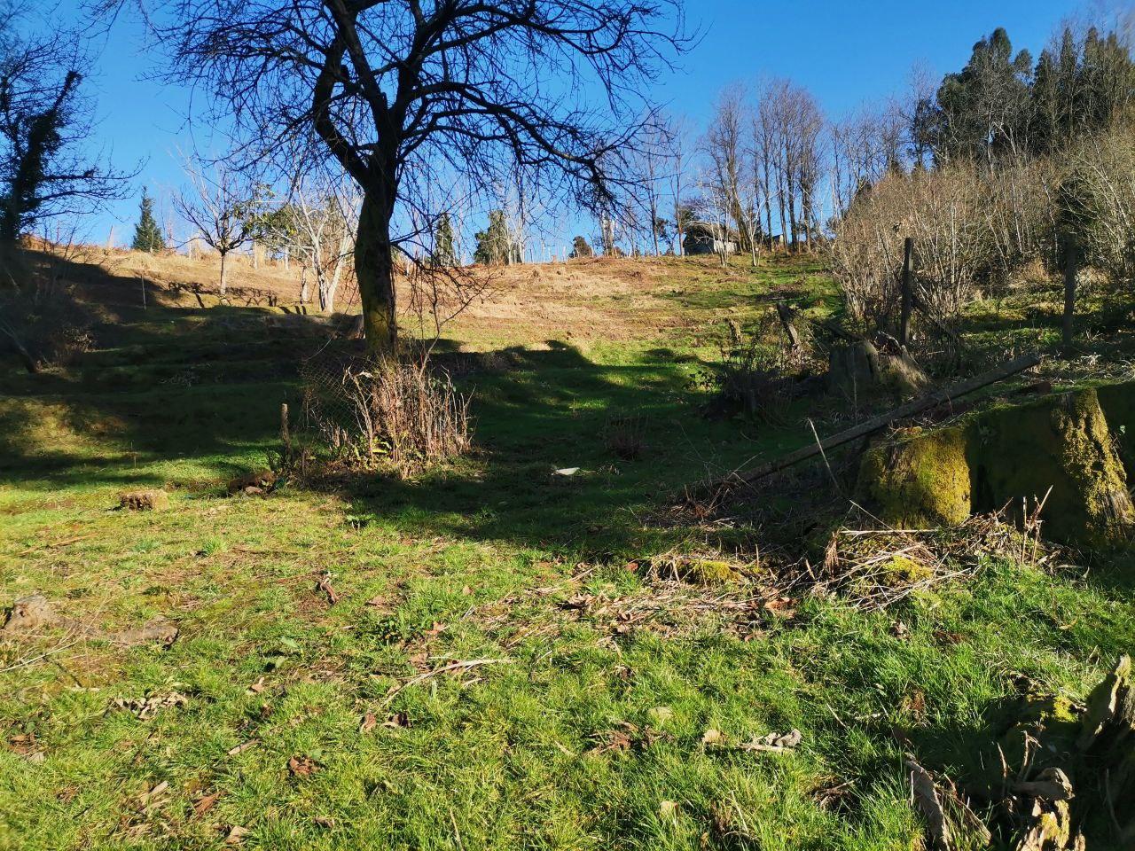 იყიდება მიწა In Chakvi, 1, 500 M² For $144, 000ში view 3