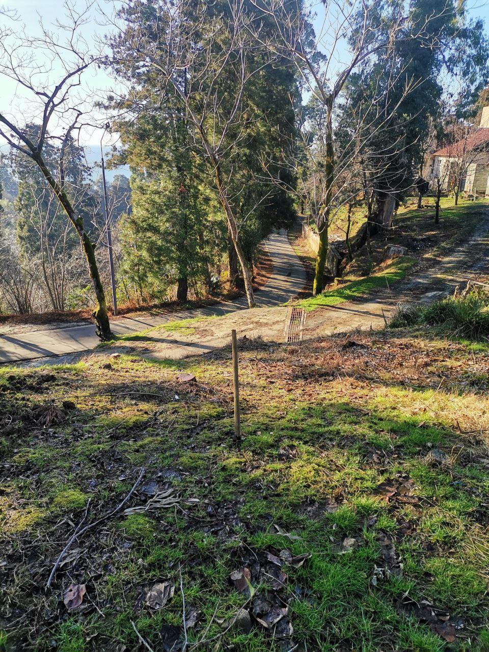 იყიდება მიწა In Chakvi, 1, 500 M² For $144, 000ში view 1