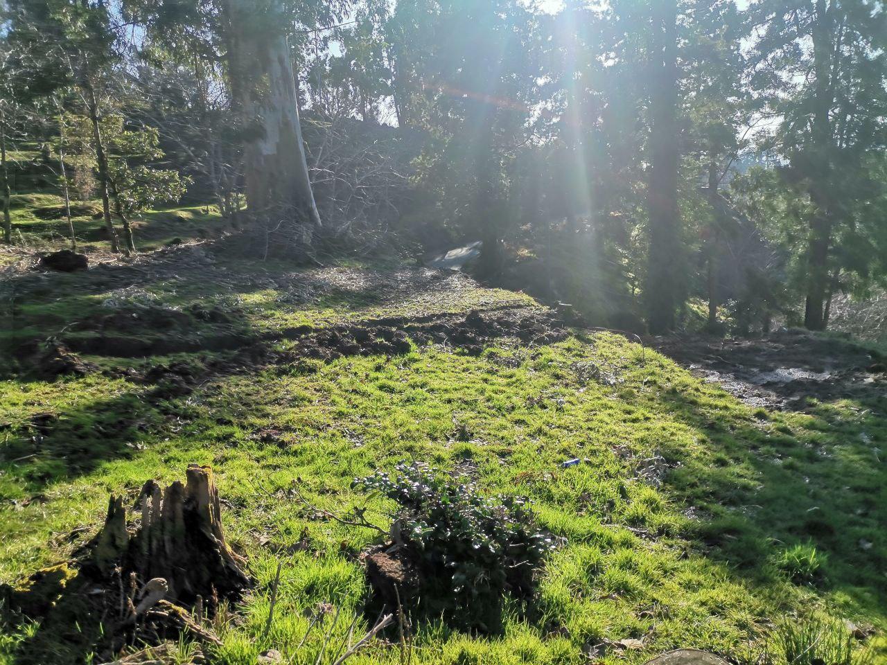 იყიდება მიწა In Chakvi, 1, 500 M² For $144, 000ში view 6