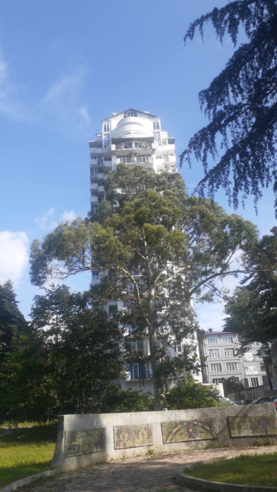 Studio Apartment For Sale view 13