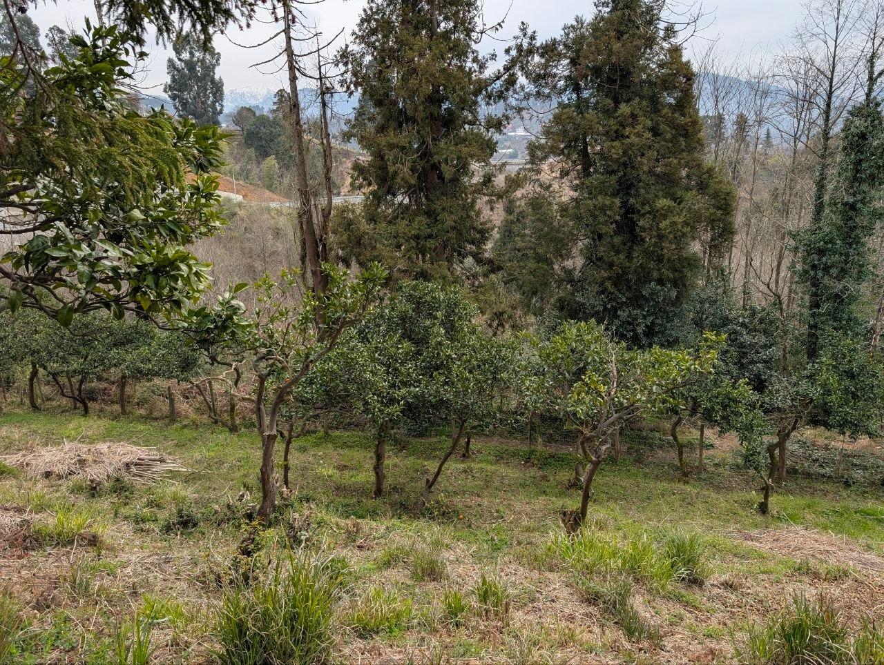 Land For Sale In Batumi, 2,067 M² For $130,000 view 1