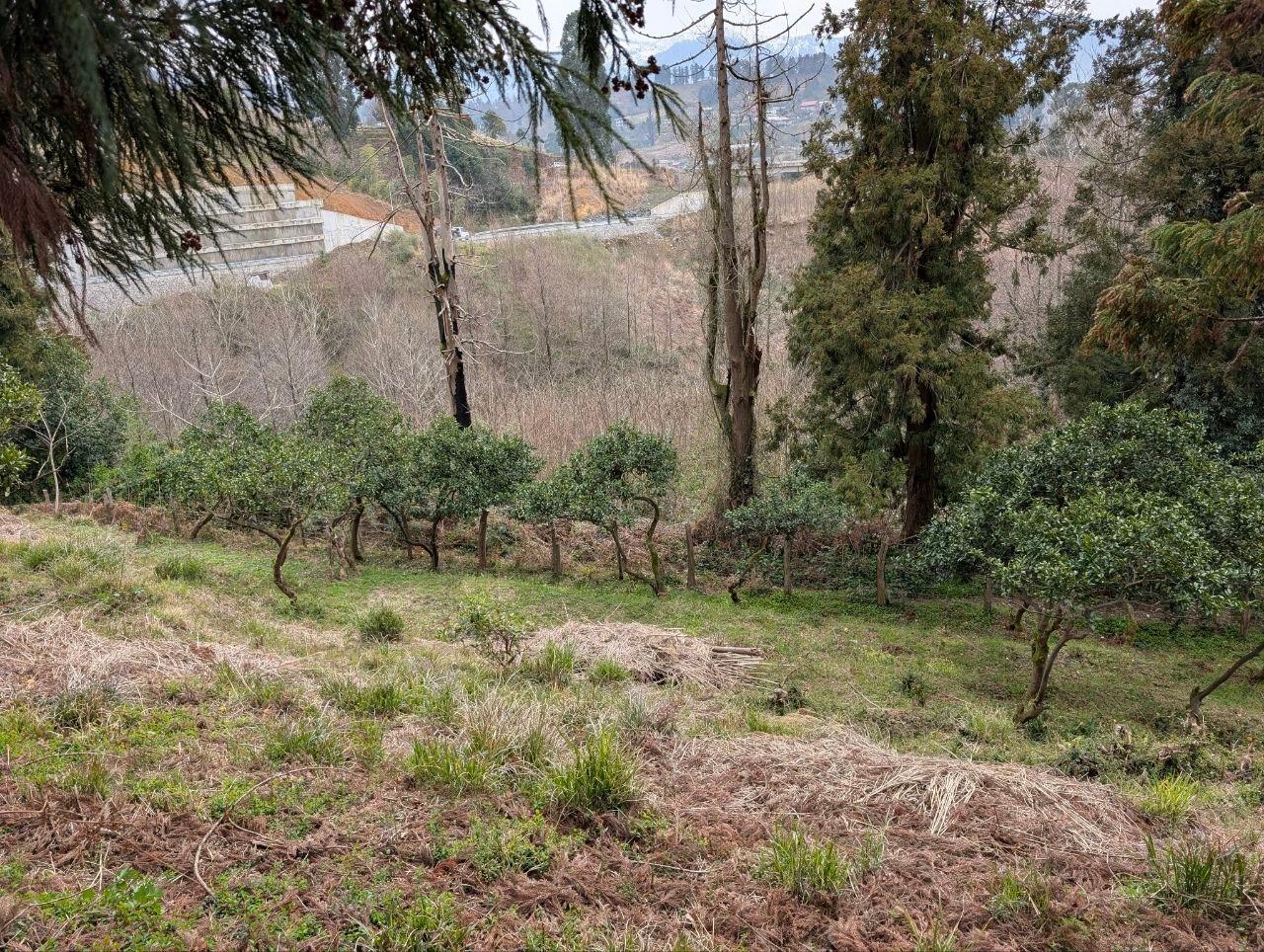 Land For Sale In Batumi, 2,067 M² For $130,000 view 2