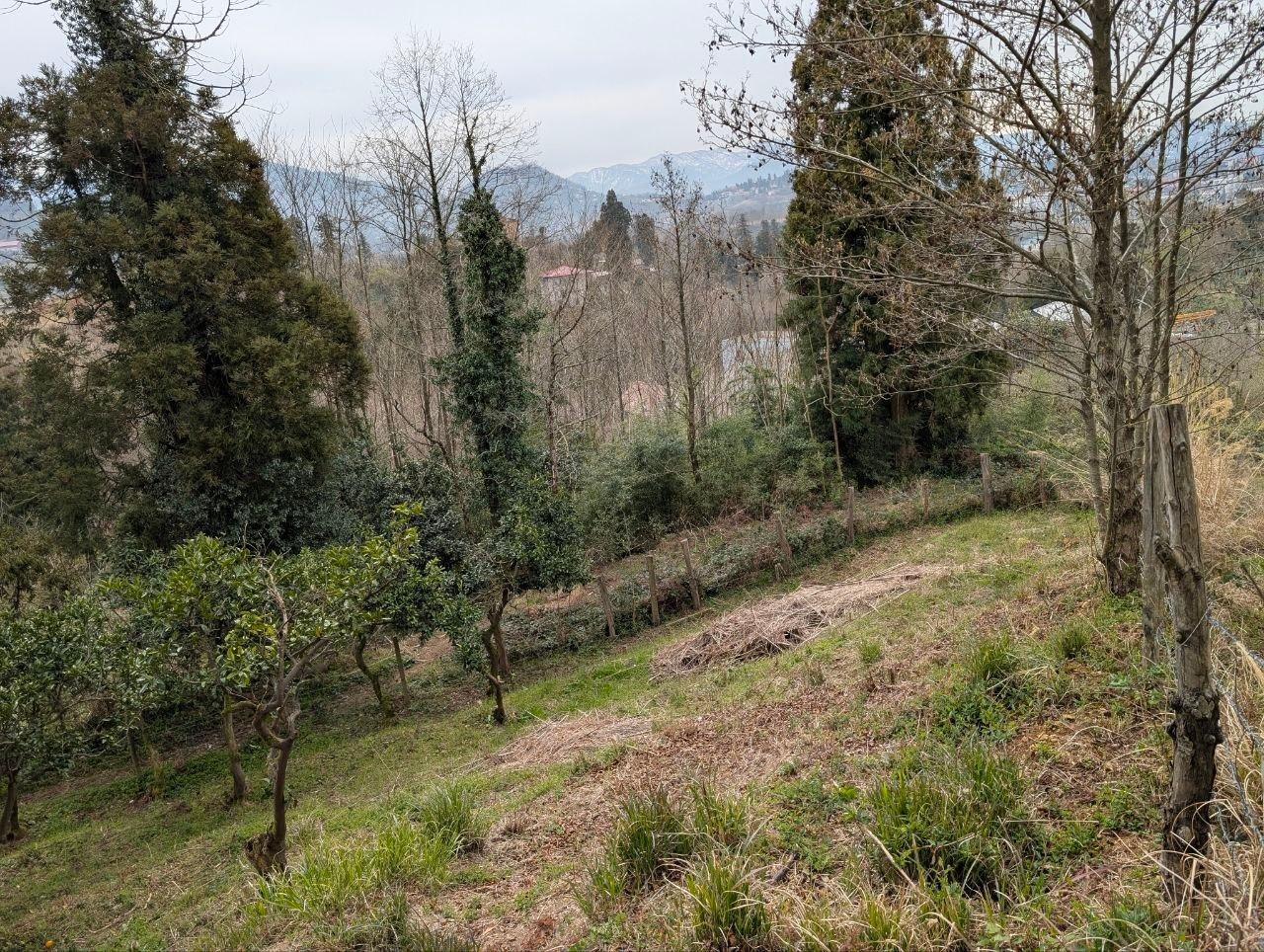 Land For Sale In Batumi, 2,067 M² For $130,000 view 3