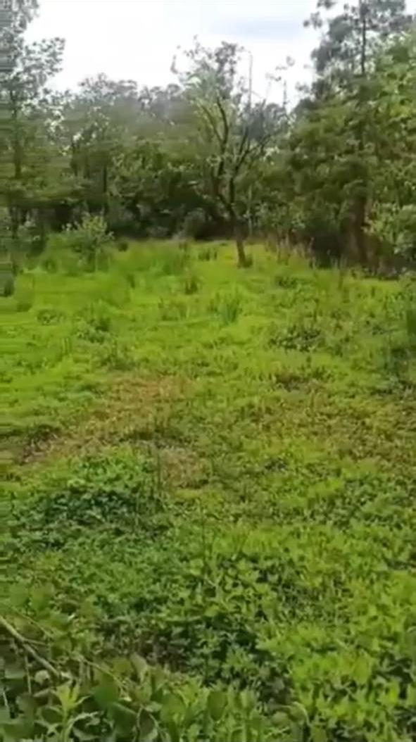 Land For Sale In Batumi, 1,500 M² For $180,000 view 4