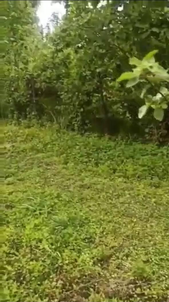 Land For Sale In Batumi, 1,500 M² For $180,000 view 3