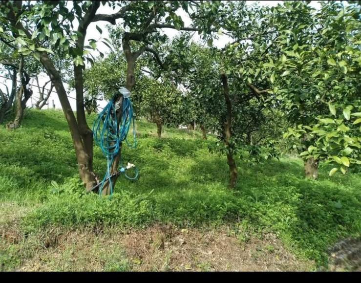 Land For Sale In Chakvi, 3,700 M² For $185,000 view 9