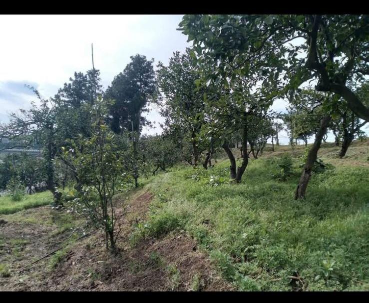 Land For Sale In Chakvi, 3,700 M² For $185,000 view 4