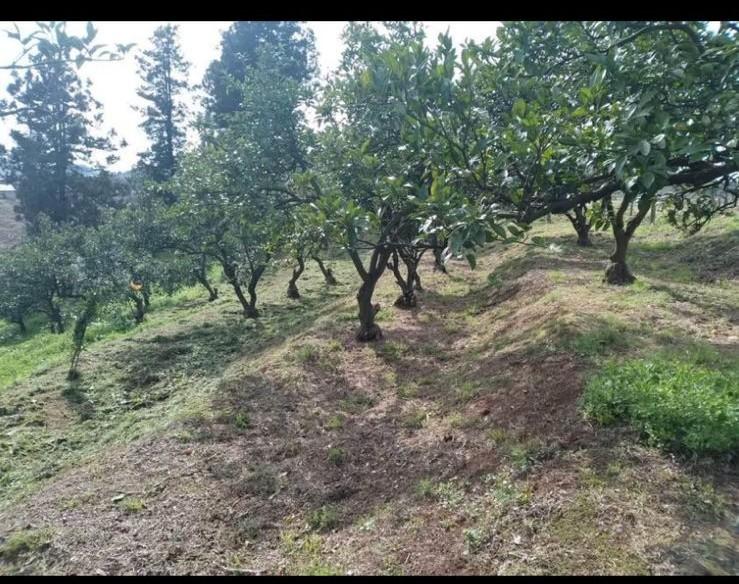 Land For Sale In Chakvi, 3,700 M² For $185,000 view 8