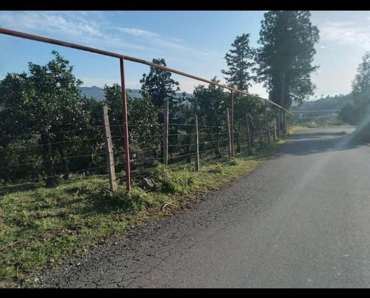 Land For Sale In Chakvi, 3,700 M² For $185,000 view 6