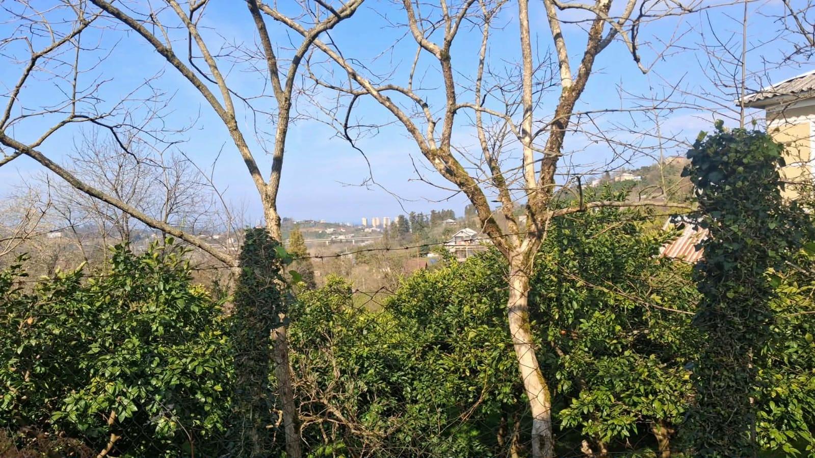 Land For Sale In Chakvi, 1,000 M² For $70,000 view 2