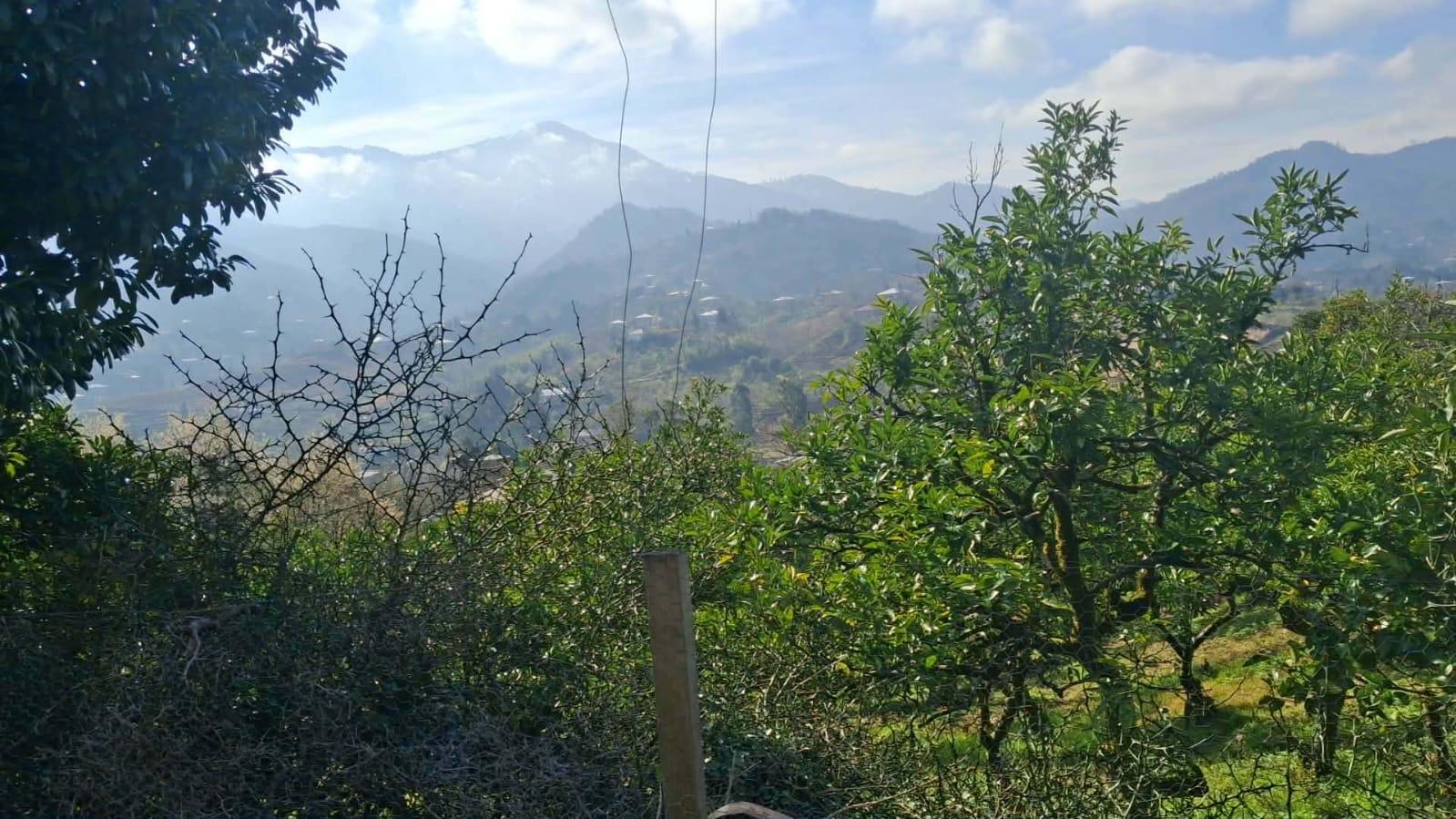 Land For Sale In Chakvi, 1,000 M² For $70,000 view 1