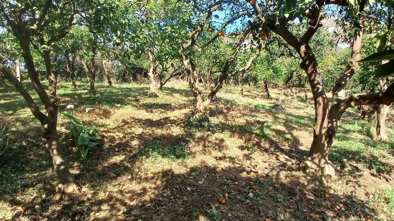 Land For Sale In Chakvi, 1,000 M² For $70,000 view 9