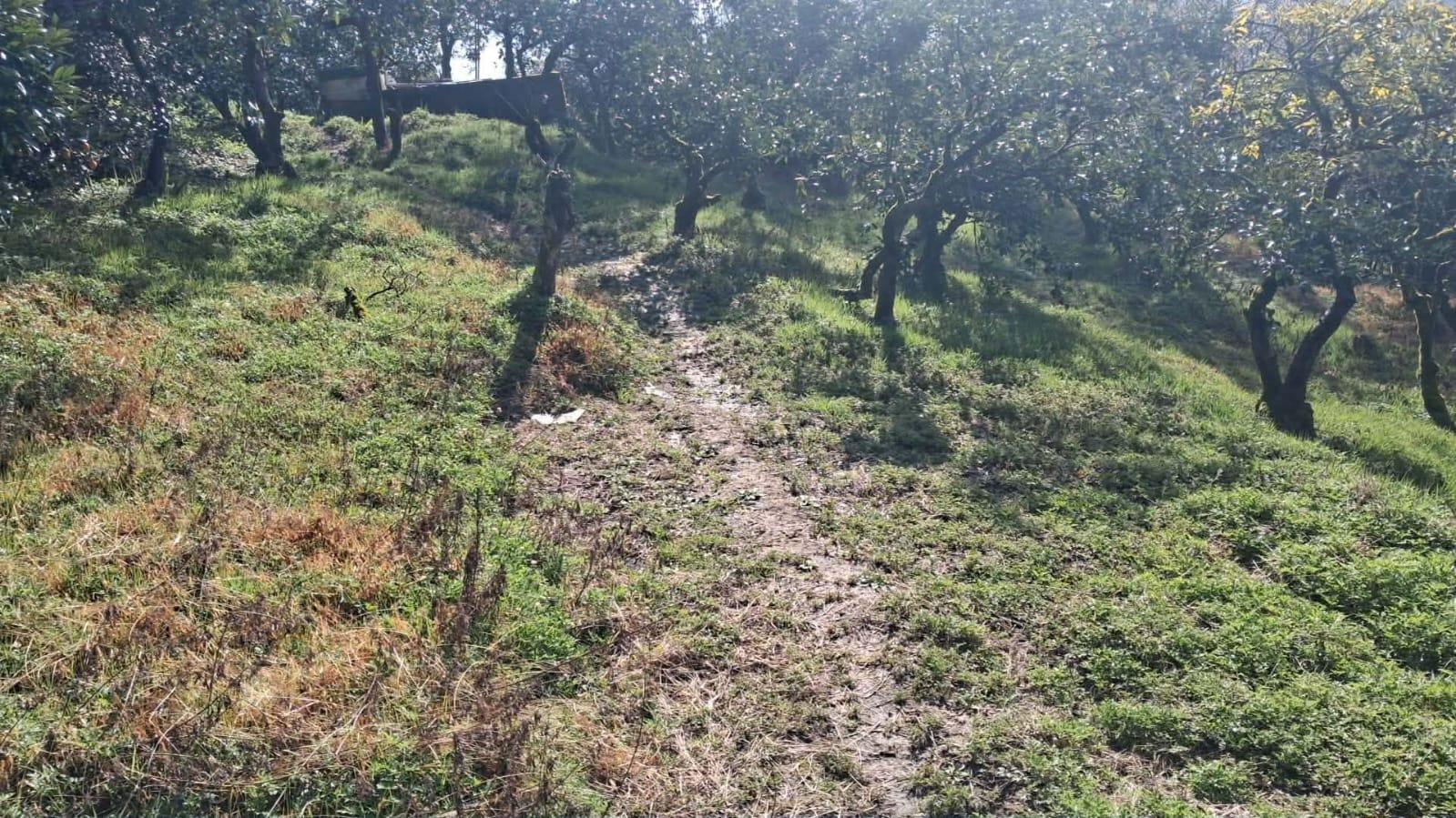 Land For Sale In Chakvi, 1,000 M² For $70,000 view 5