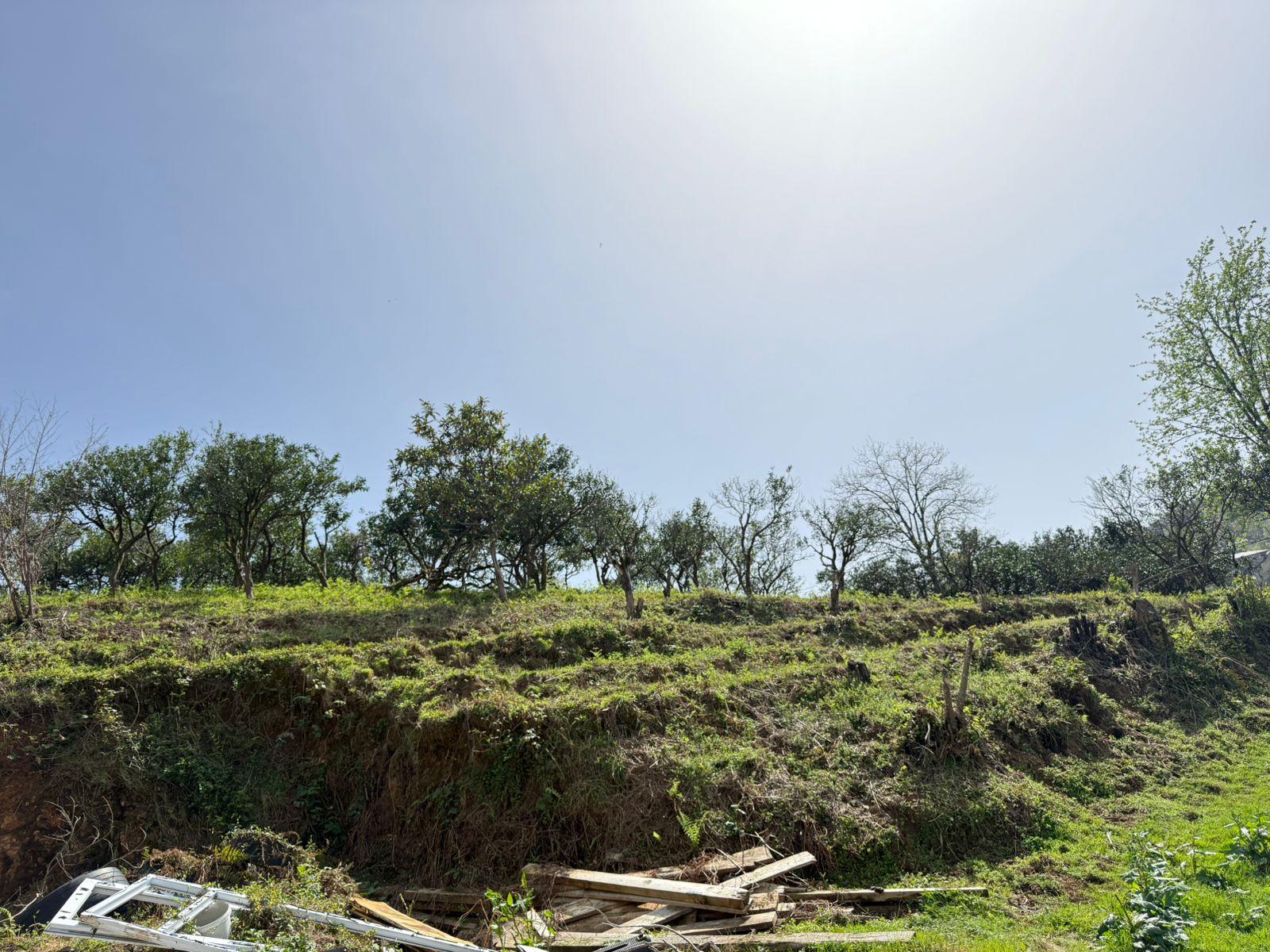 Land For Sale In Batumi, 1,200 M² For $120,000 view 2