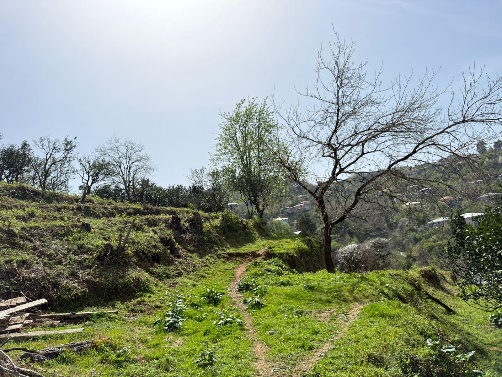 Land For Sale In Batumi, 1,200 M² For $120,000 view 4