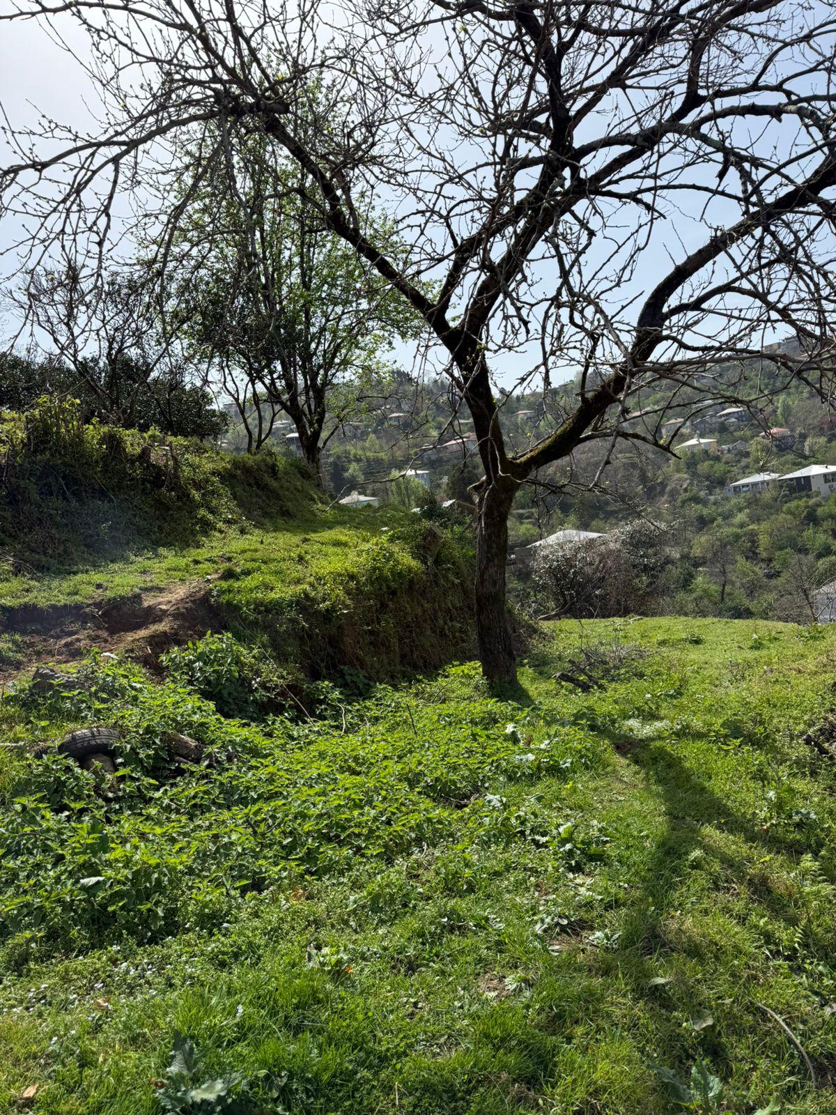 Land For Sale In Batumi, 1,200 M² For $120,000 view 5