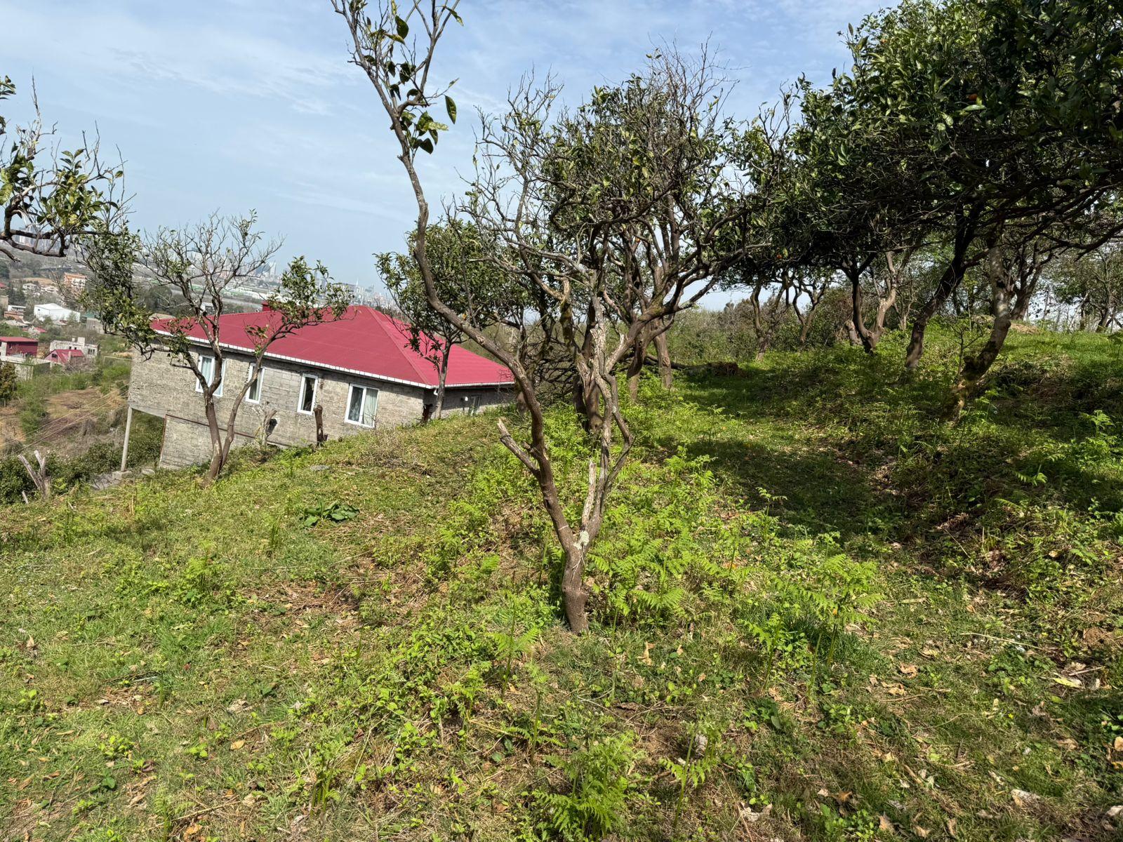 Land For Sale In Batumi, 1,200 M² For $120,000 view 7
