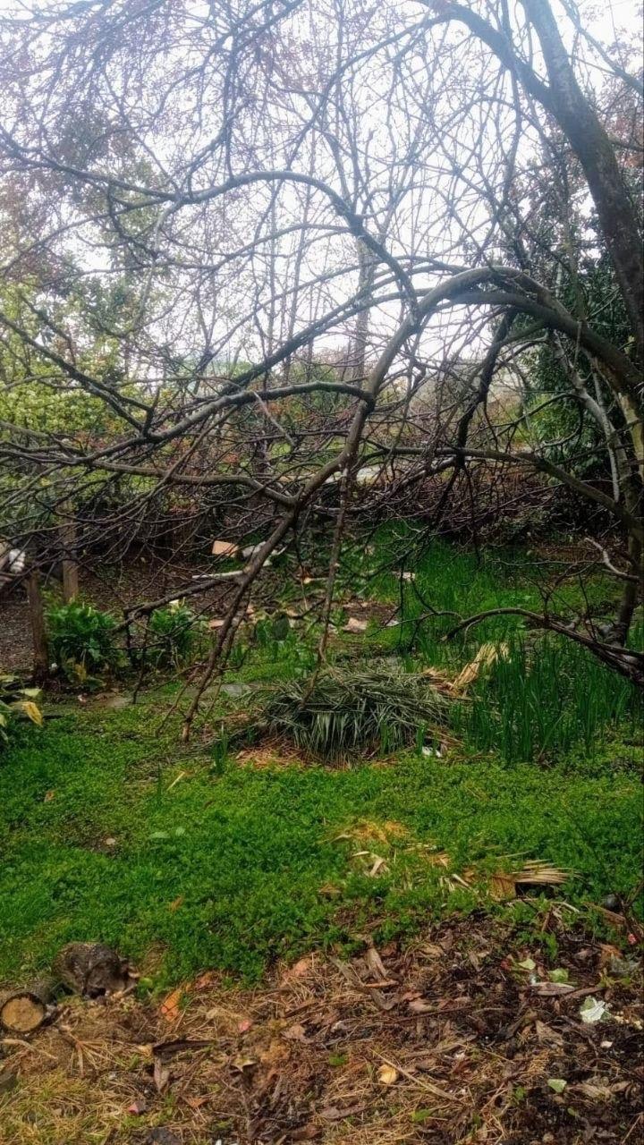 Land For Sale In Batumi, 400 M² For $150,000 view 1