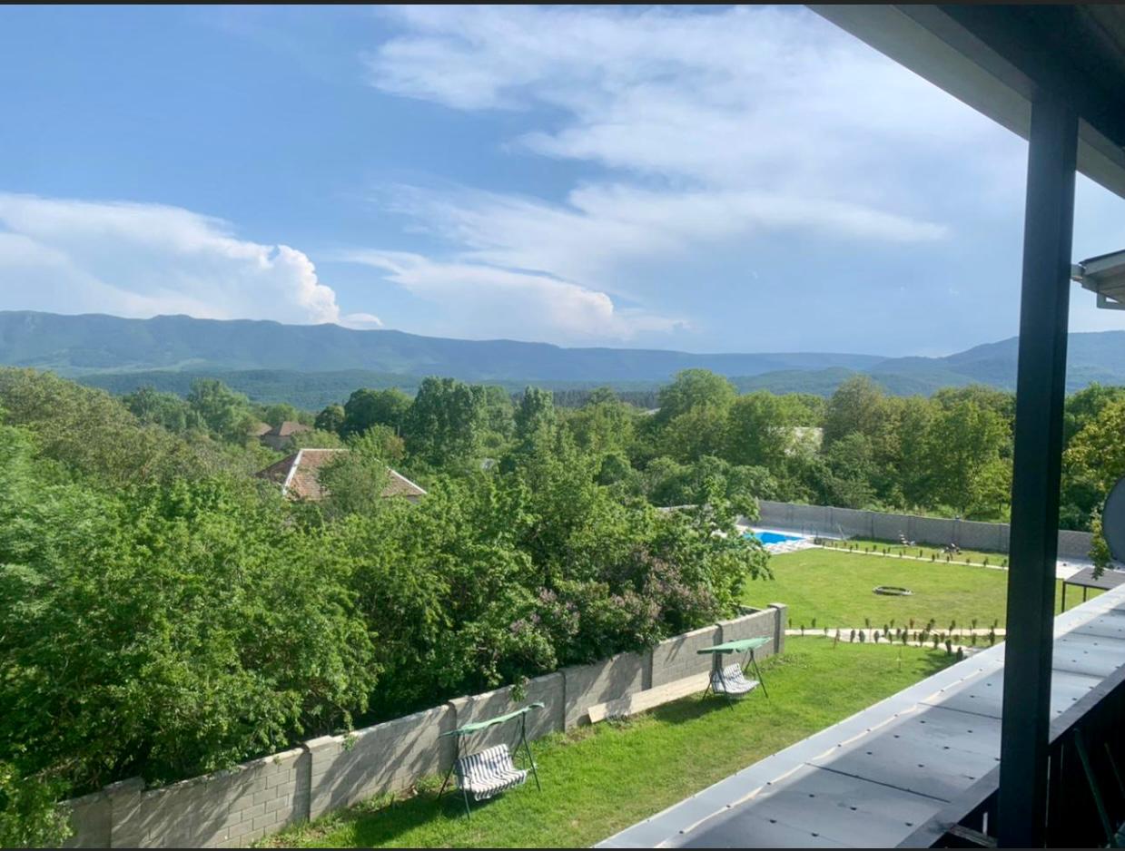 Commercial Property For Sale: 900 M² In Manglisi, ул. Вахтанга Горгасали, 87 – $1,200,000 view 7