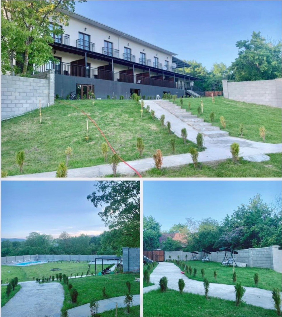 Commercial Property For Sale: 900 M² In Manglisi, ул. Вахтанга Горгасали, 87 – $1,200,000 view 9