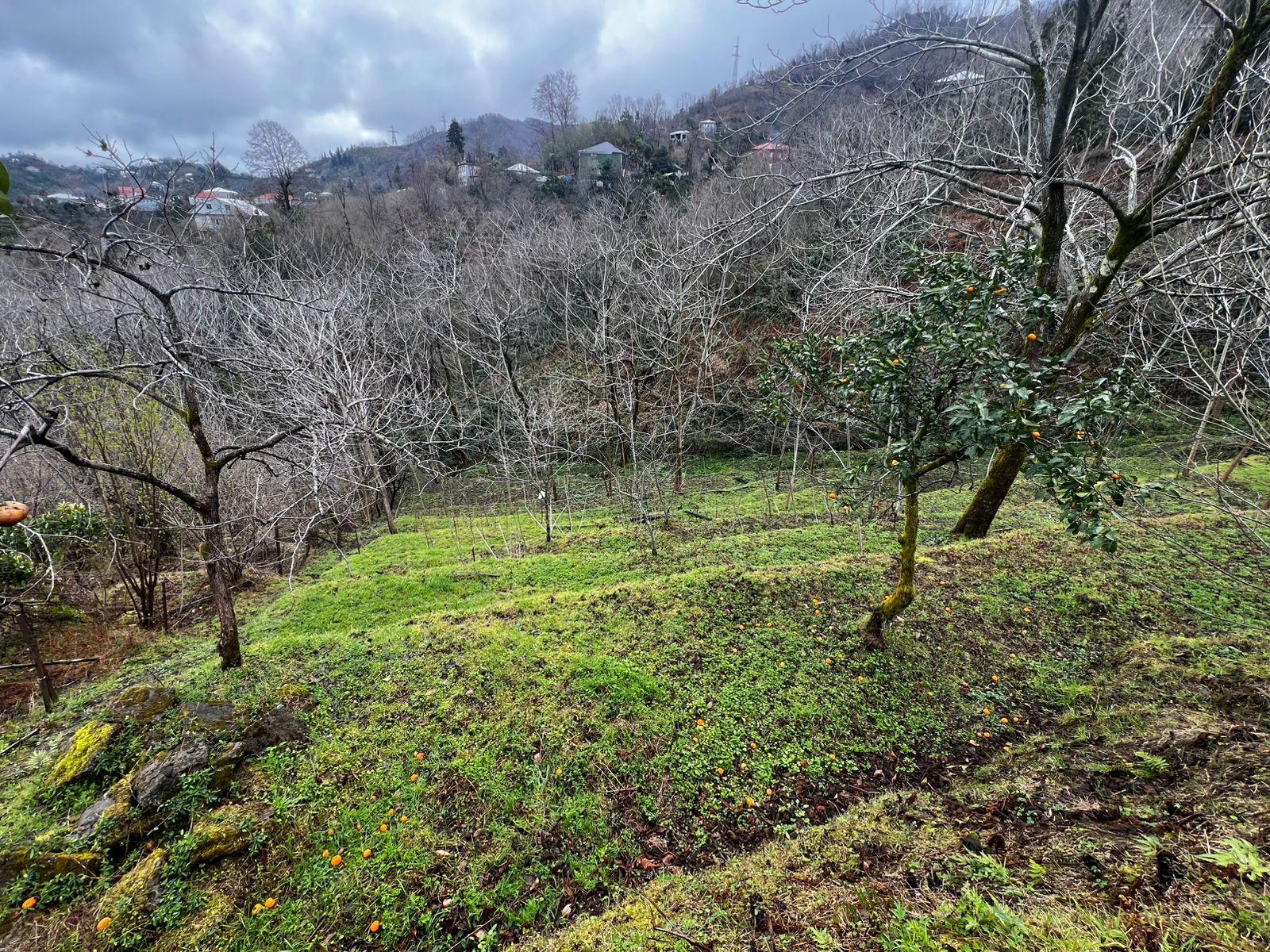 Land For Sale In Batumi, 1,739 M² For $70,000 view 3