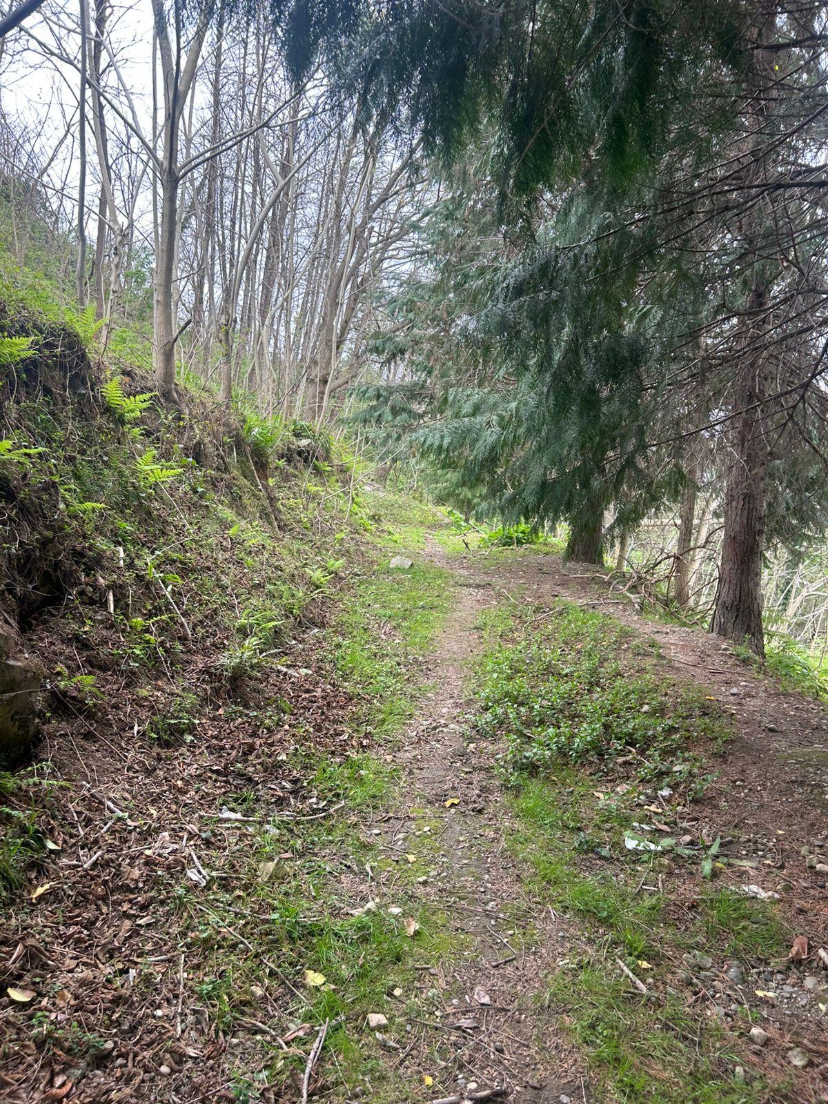Land For Sale In Batumi, 2,100 M² For $210,000 view 4