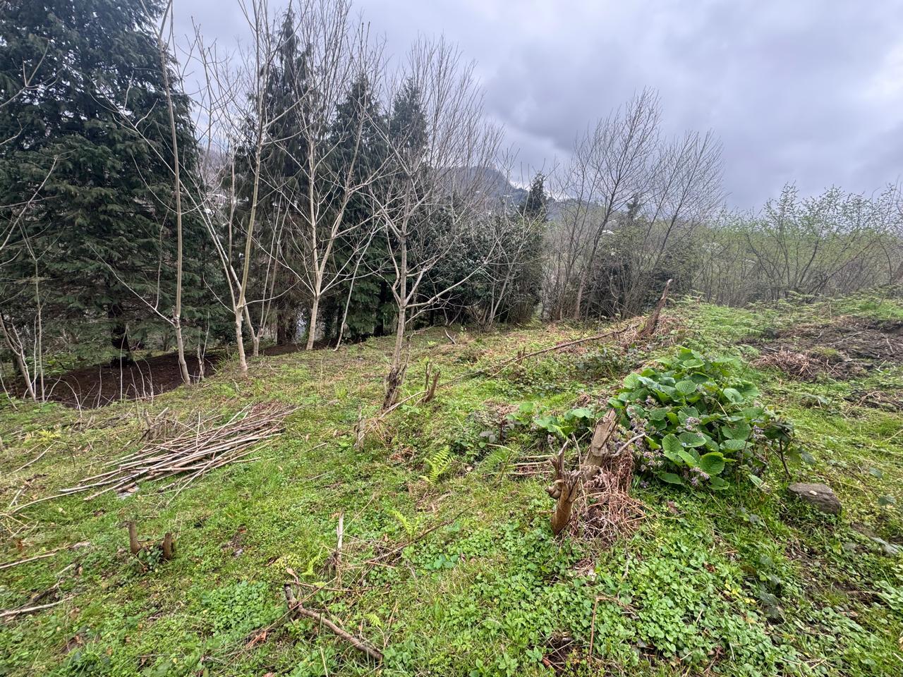 Land For Sale In Batumi, 2,100 M² For $210,000 view 7