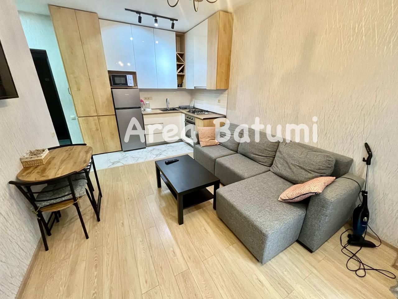 2-Room Apartment For Rent In Batumi, Alexander Kazbegi St, 17-19 view 1