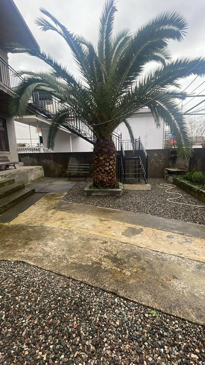 3-Room House For Rent In Batumi, Konstantine Gamsakhurdia St, 23 view 9