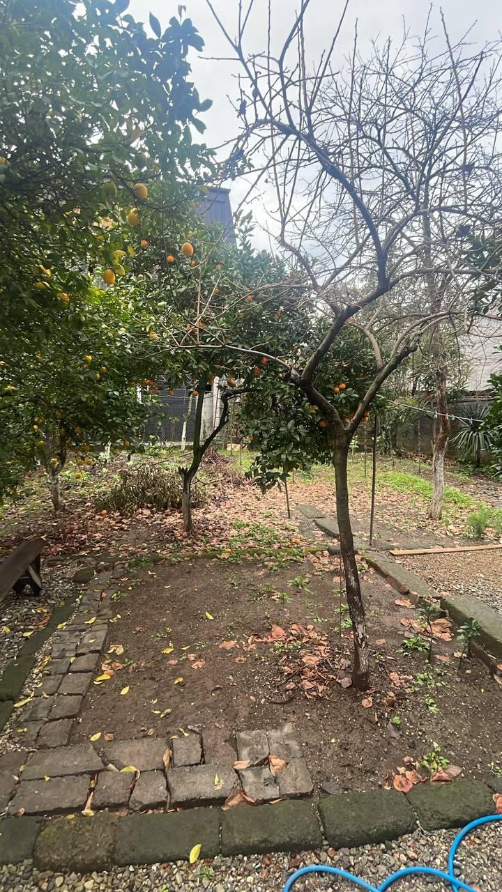 3-Room House For Rent In Batumi, Konstantine Gamsakhurdia St, 23 view 10