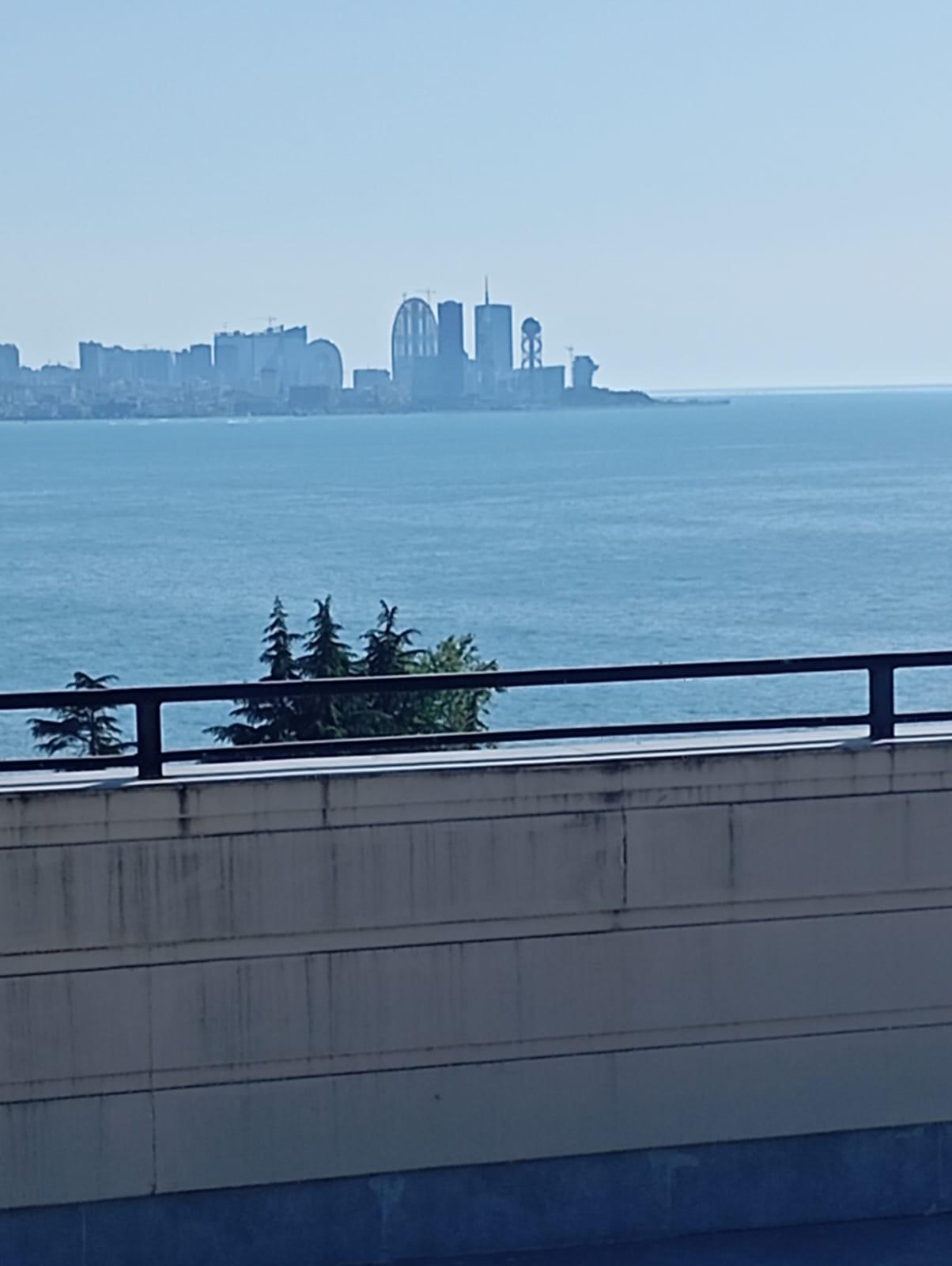 15-Room House In Batumi, Makhinjauri Tunnel, 300 M², Is Available For Daily Rent For $50 view 10