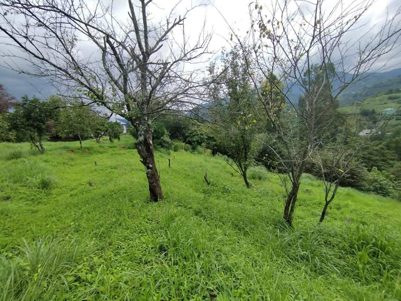 Land For Sale In Chakvi, 3,900 M² For $332,000 view 18