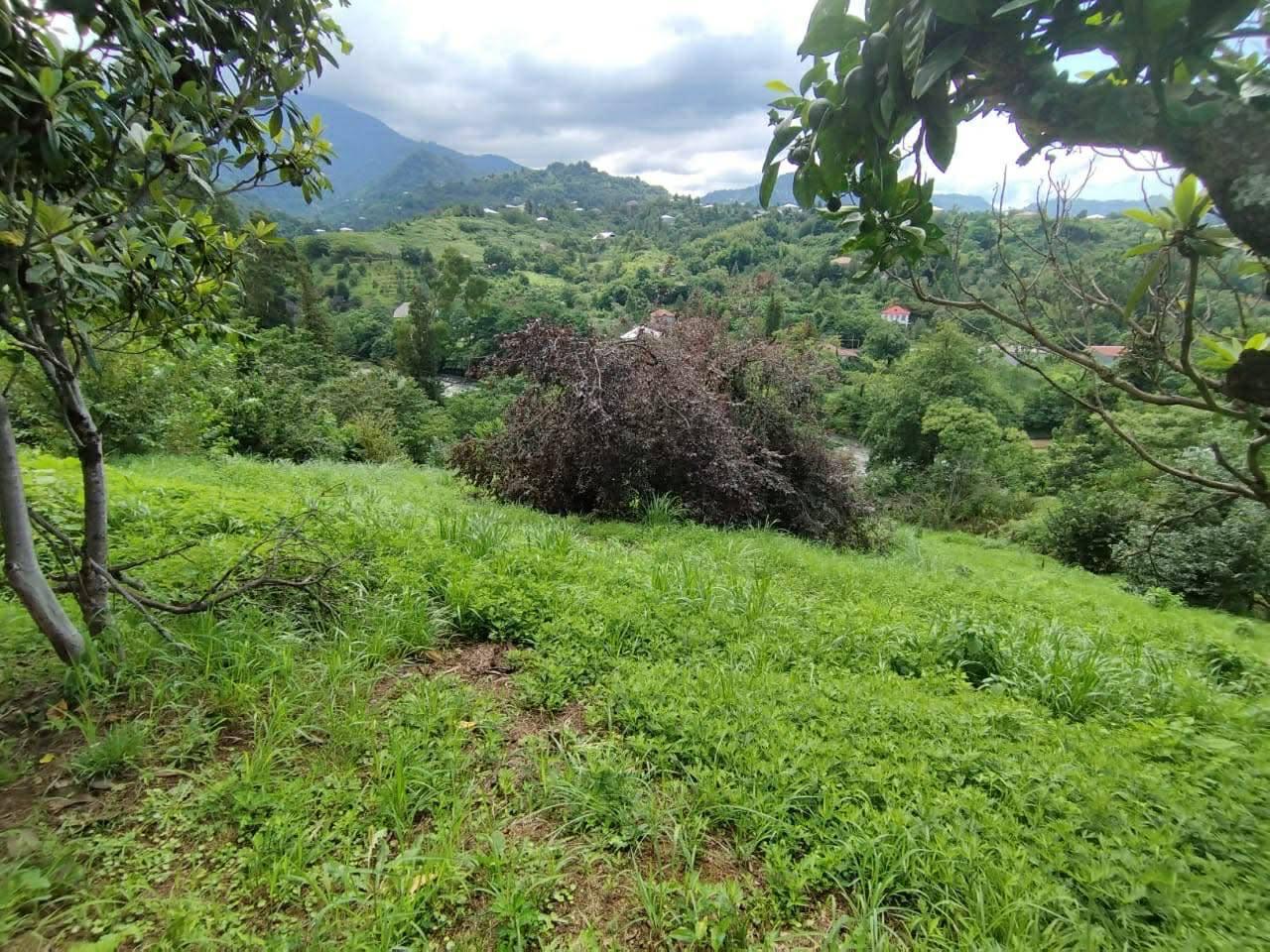 Land For Sale In Chakvi, 3,900 M² For $332,000 view 19
