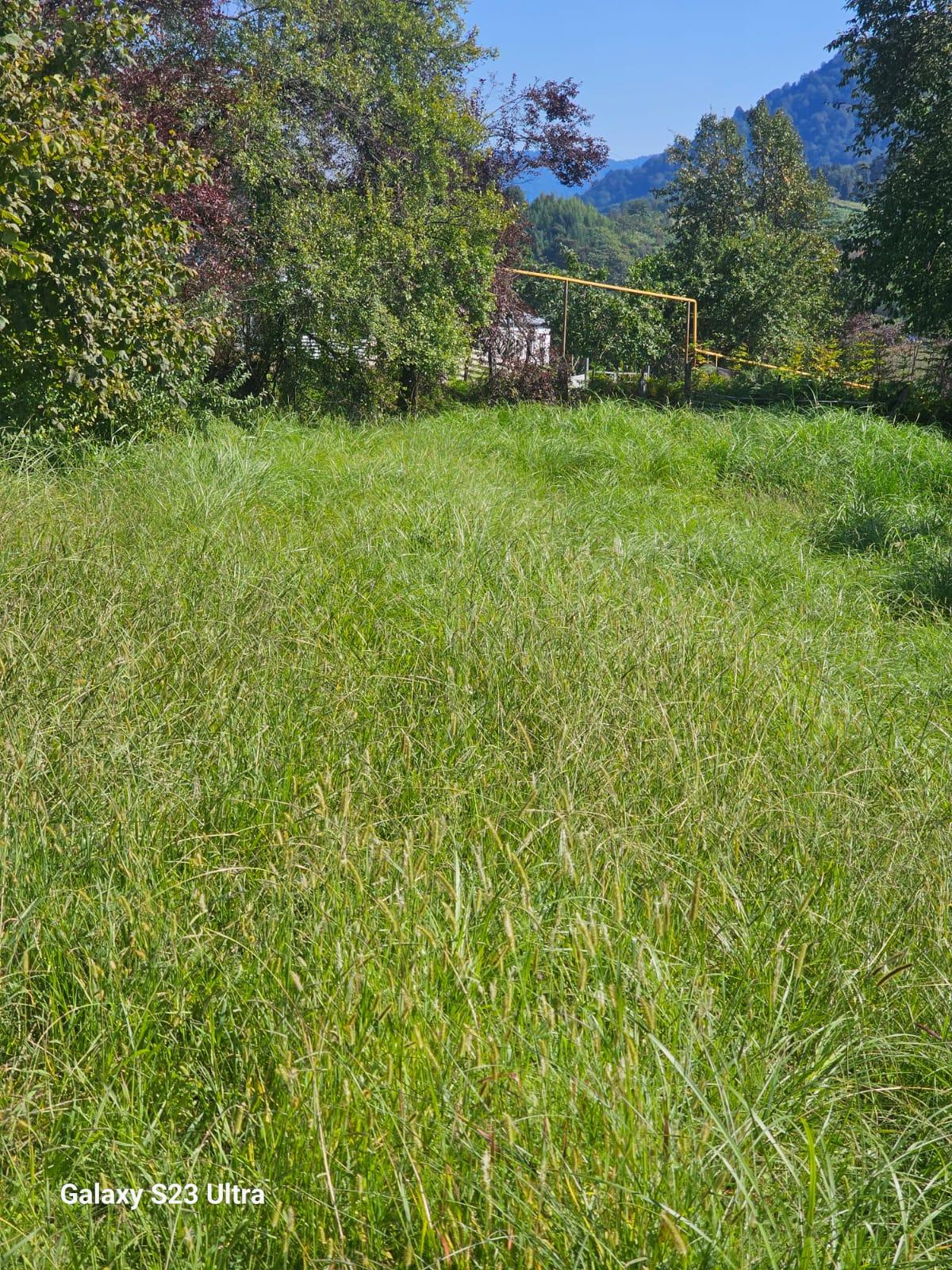 Land For Sale In Chakvi, 3,900 M² For $332,000 view 2