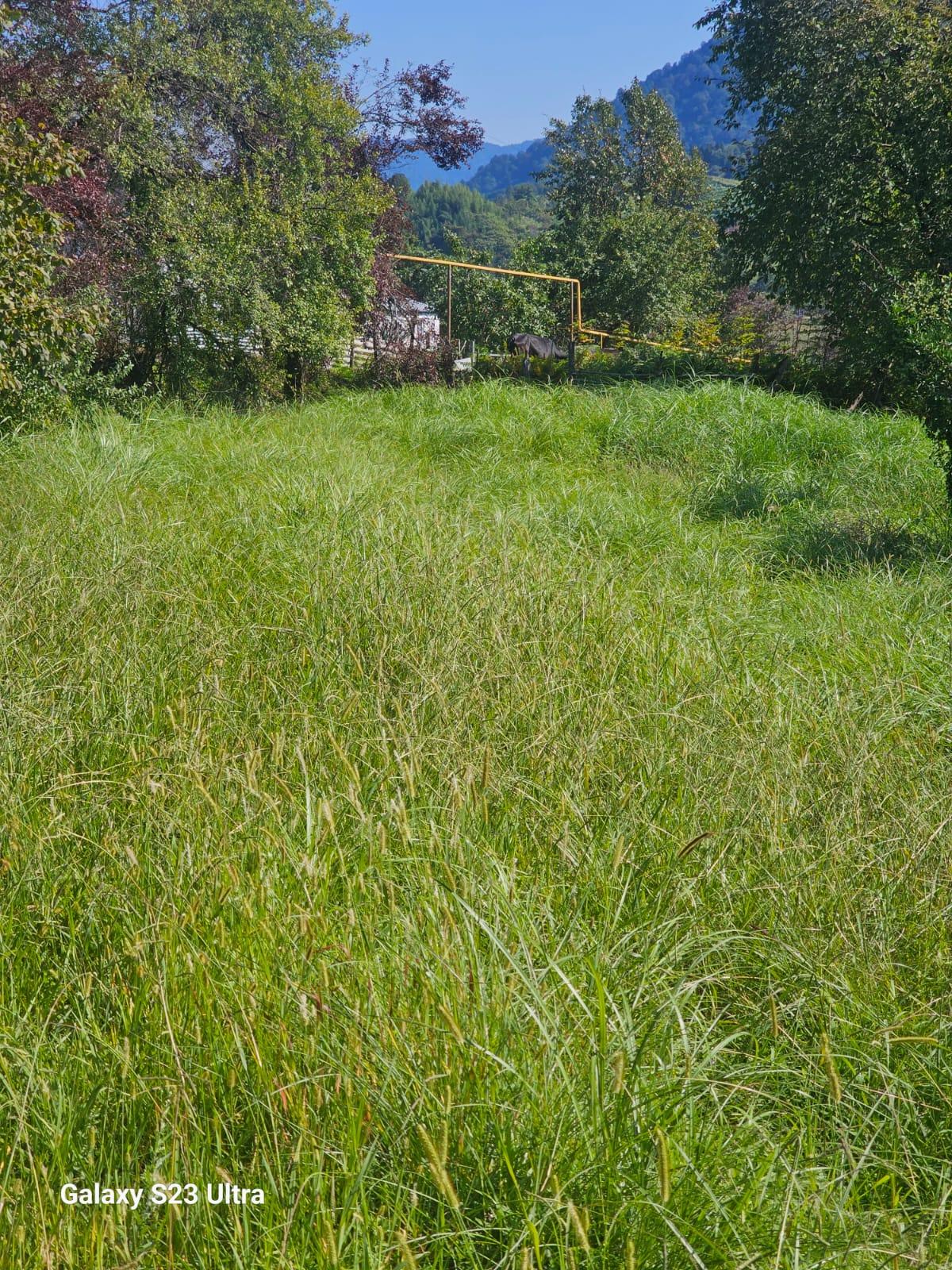 Land For Sale In Chakvi, 3,900 M² For $332,000 view 1