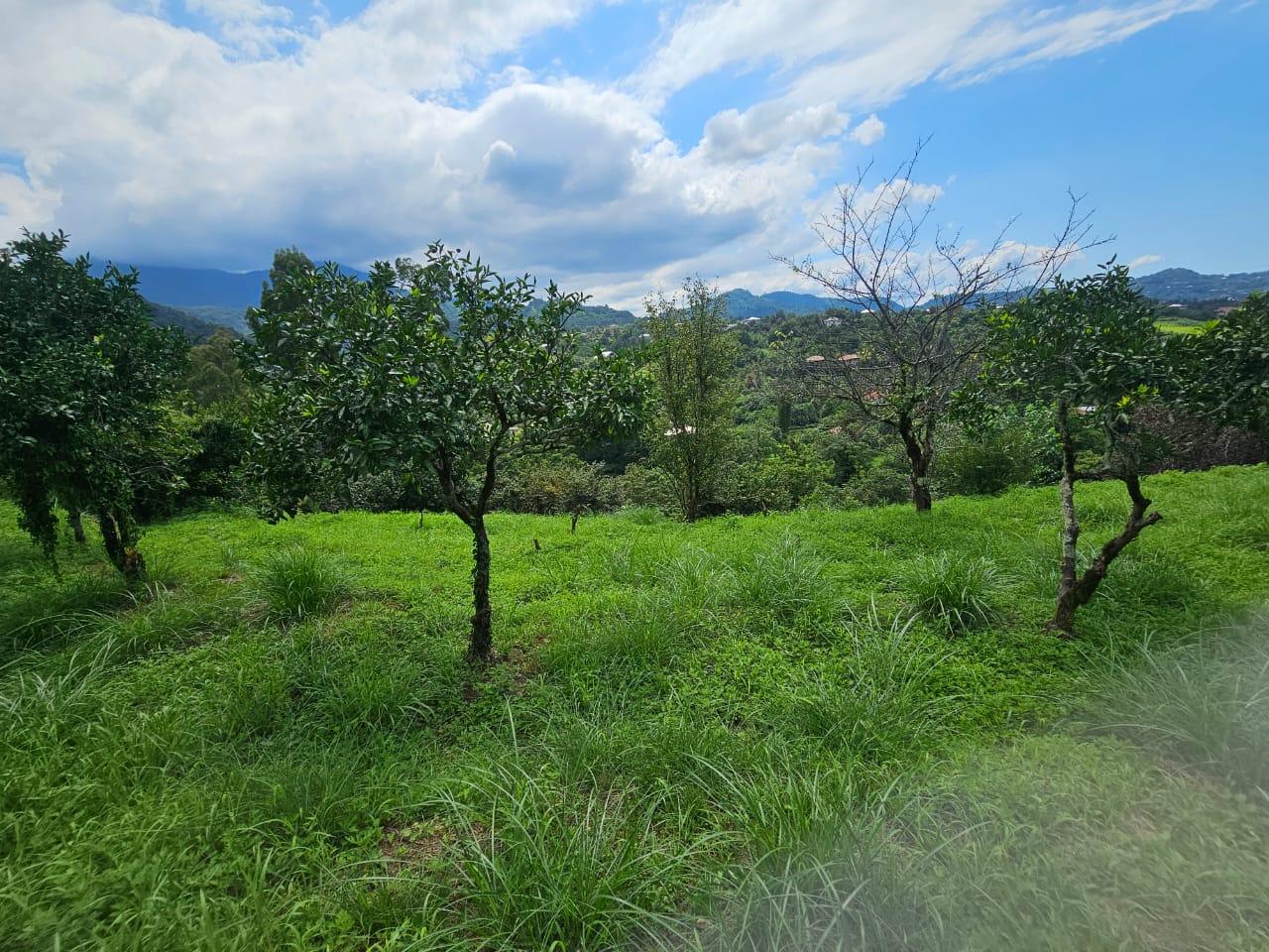 Land For Sale In Chakvi, 3,900 M² For $332,000 view 22