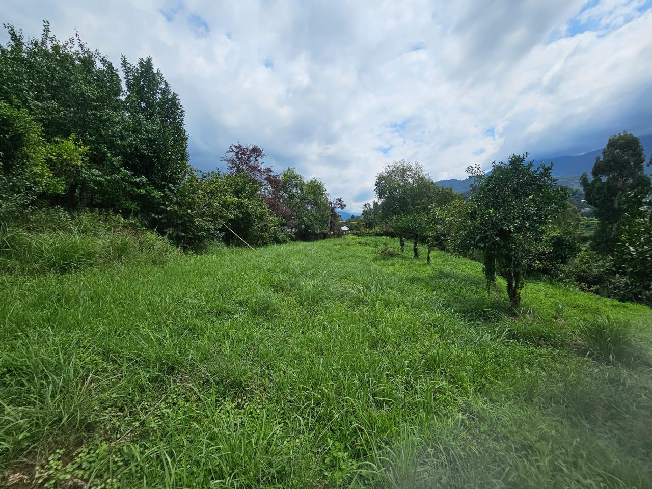 Land For Sale In Chakvi, 3,900 M² For $332,000 view 23