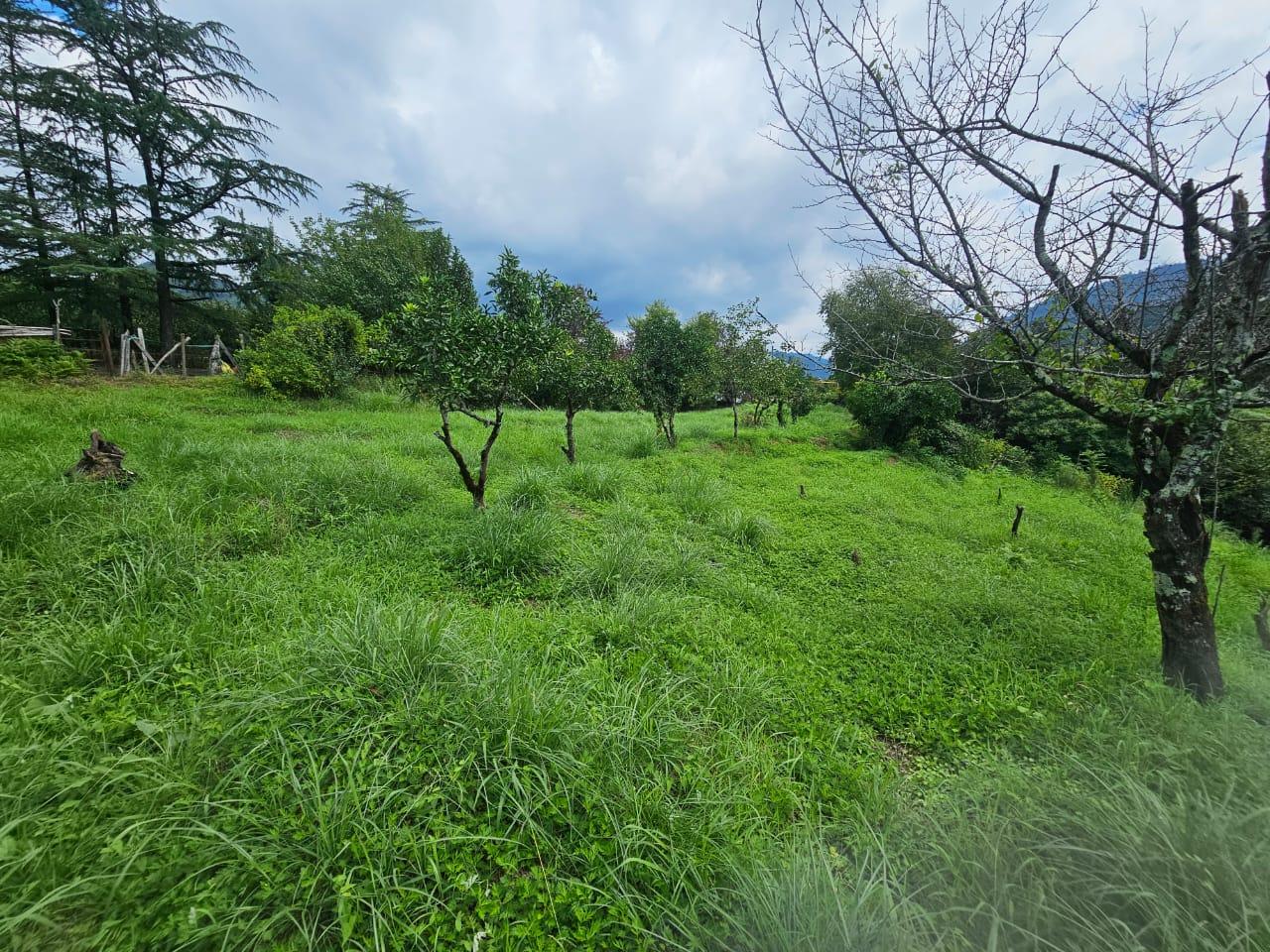 Land For Sale In Chakvi, 3,900 M² For $332,000 view 24