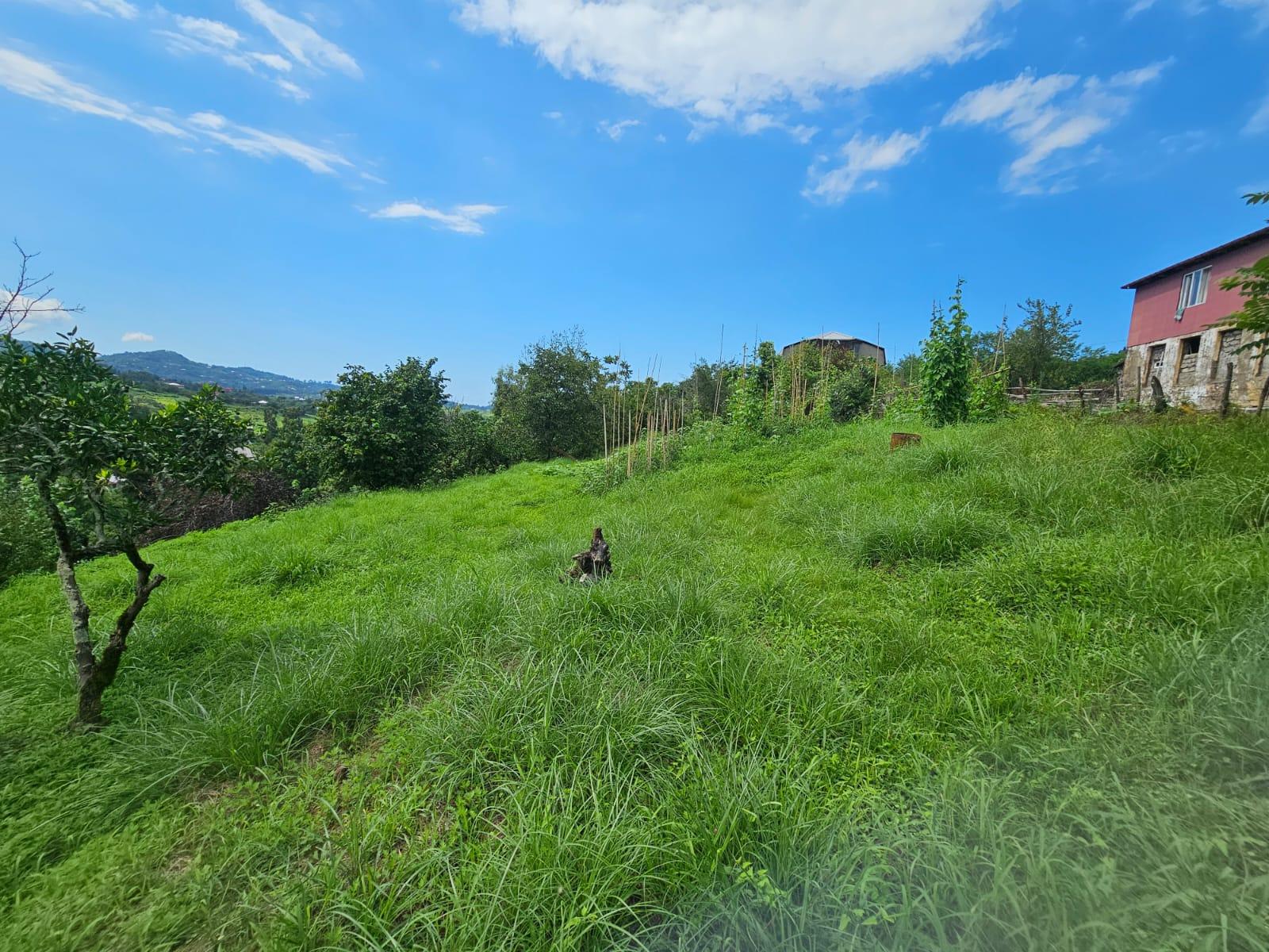 Land For Sale In Chakvi, 3,900 M² For $332,000 view 5
