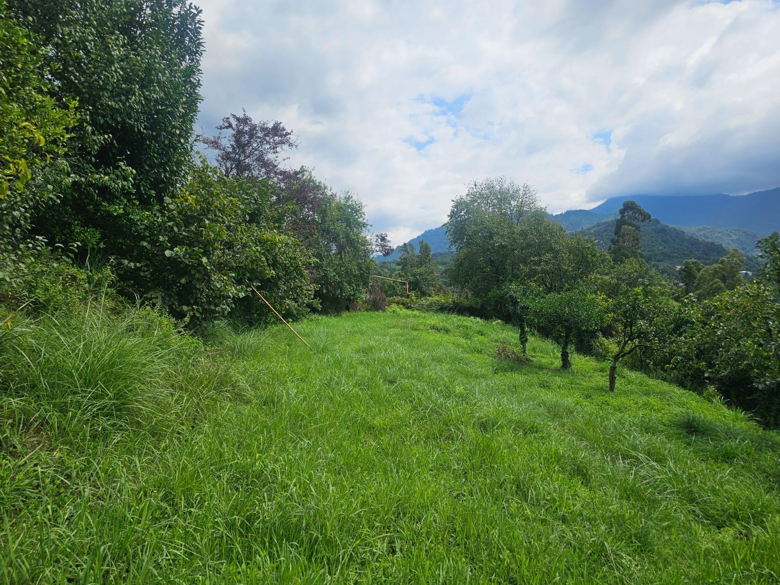 Land For Sale In Chakvi, 3,900 M² For $332,000 view 6