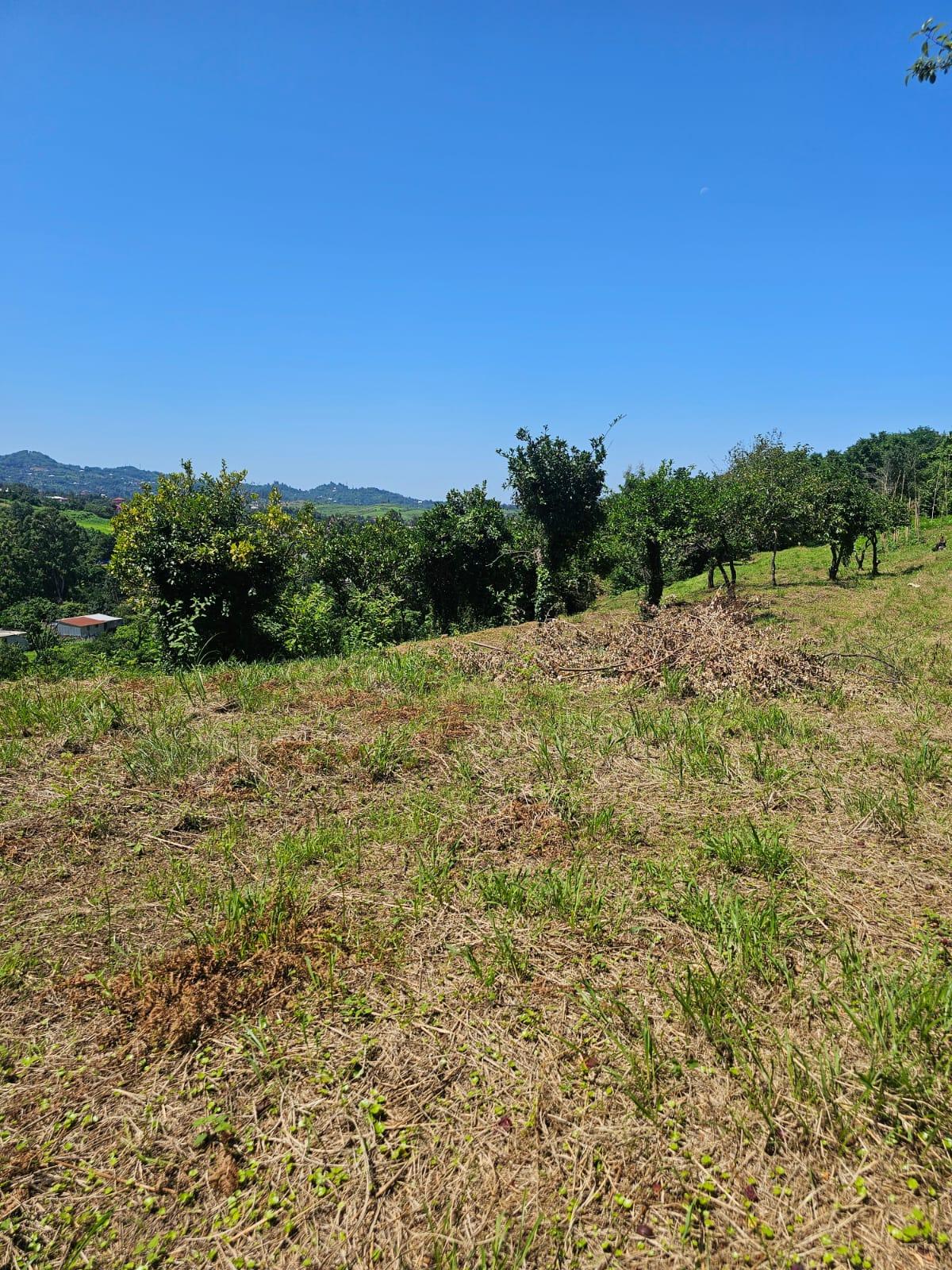 Land For Sale In Chakvi, 3,900 M² For $332,000 view 8